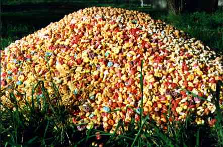 big pile of different kinds of cereal jpg 26K