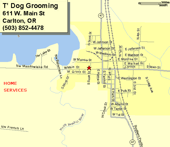 Map to T's Dog Grooming